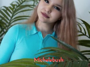 Michelebush