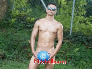 Mitchellburns
