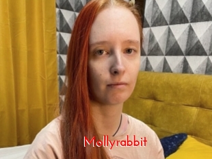 Mollyrabbit