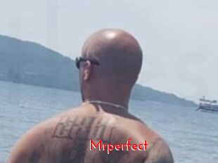 Mrperfect