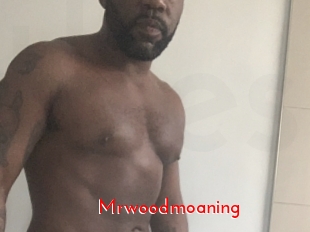 Mrwoodmoaning