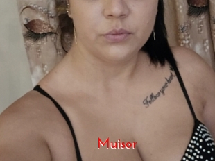 Muisor