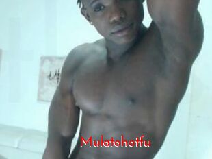 Mulatohotfu