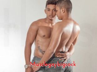 Musclegaybigcock