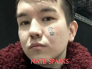 NATE_SPARKS