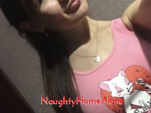 NaughtyHomeAlone