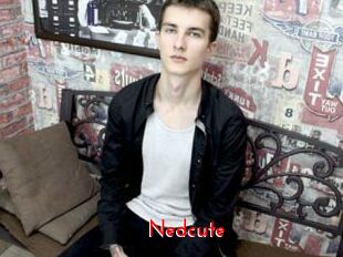Nedcute