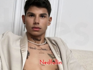 Nedfollin