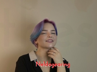 Neldagearing