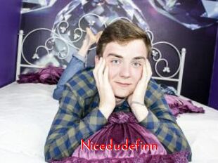 Nicedudefinn