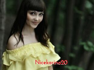 Nicekarina20