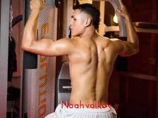 Noahvolkov