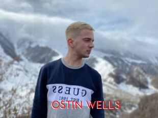 OSTIN_WELLS