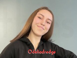 Odeliadredge