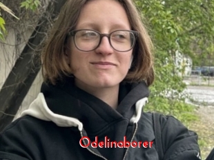 Odelinaborer