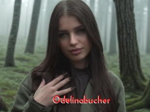 Odelinabucher