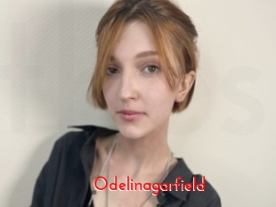 Odelinagarfield