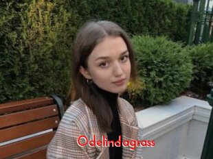Odelindagrass