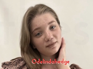 Odelindahedge