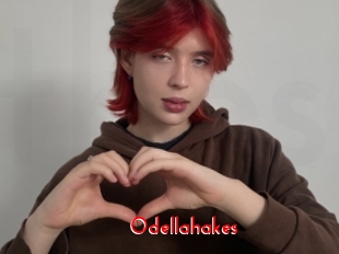 Odellahakes
