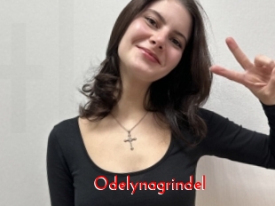 Odelynagrindel