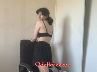 Odettacaecus