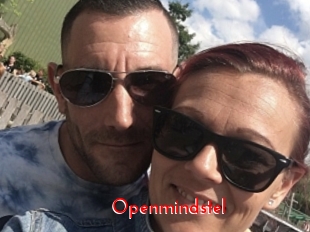 Openmindstel