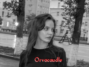Orvacaudle