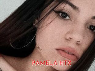 PAMELA_HTX