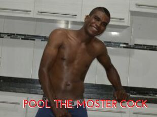 POOL_THE_MOSTER_COCK