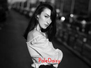 PaleDaisy