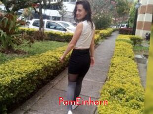 PamEinhorn