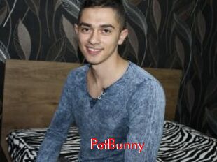 PatBunny