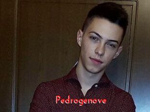 Pedrogenove