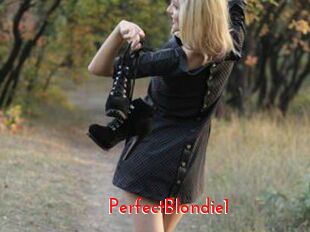 PerfectBlondie1
