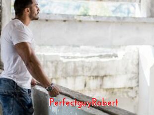 PerfectguyRobert