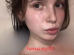 Pettitekitty1107