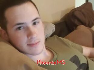 PhoenixMS