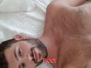 Pj001
