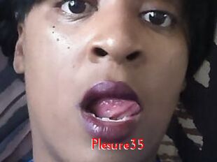 Plesure35 The Sex