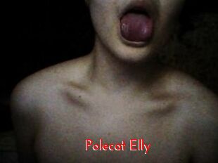 Polecat_Elly