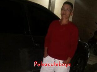 Polexcuteboyx