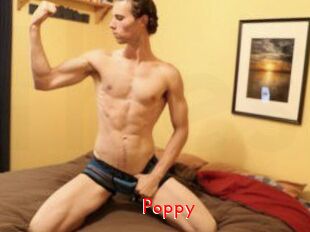 Poppy