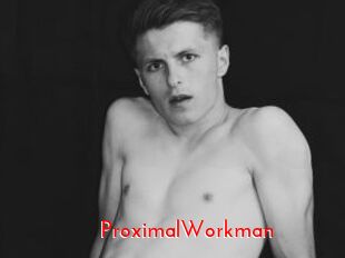 ProximalWorkman The Sex