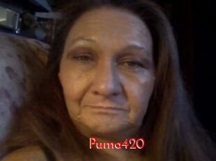 Puma420