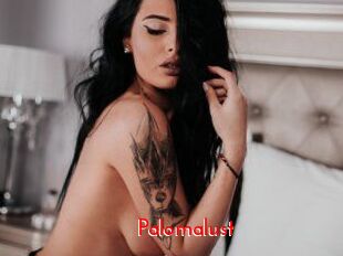 Palomalust