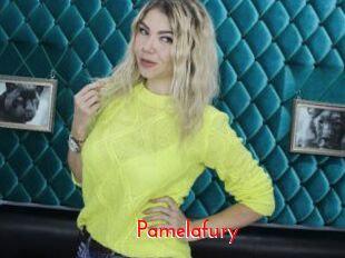 Pamelafury