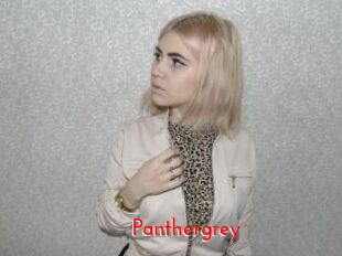 Panthergrey