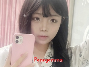 Penegemma