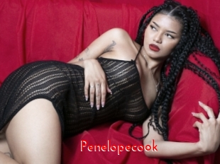 Penelopecook